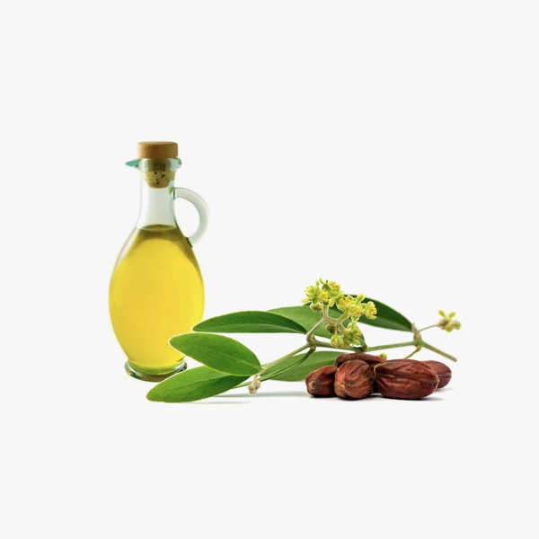 Jojoba Essential Oil